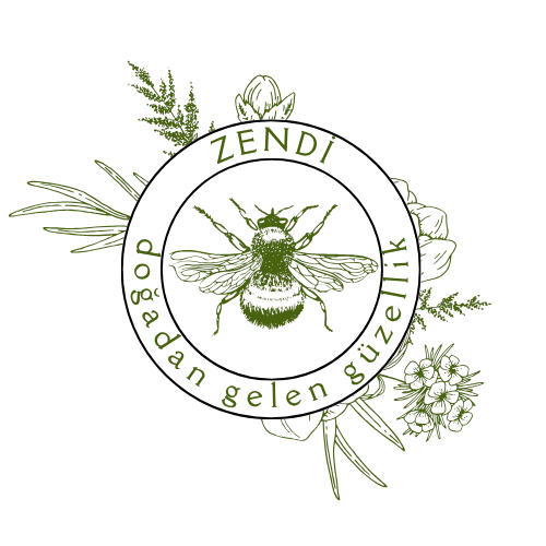 Zendi